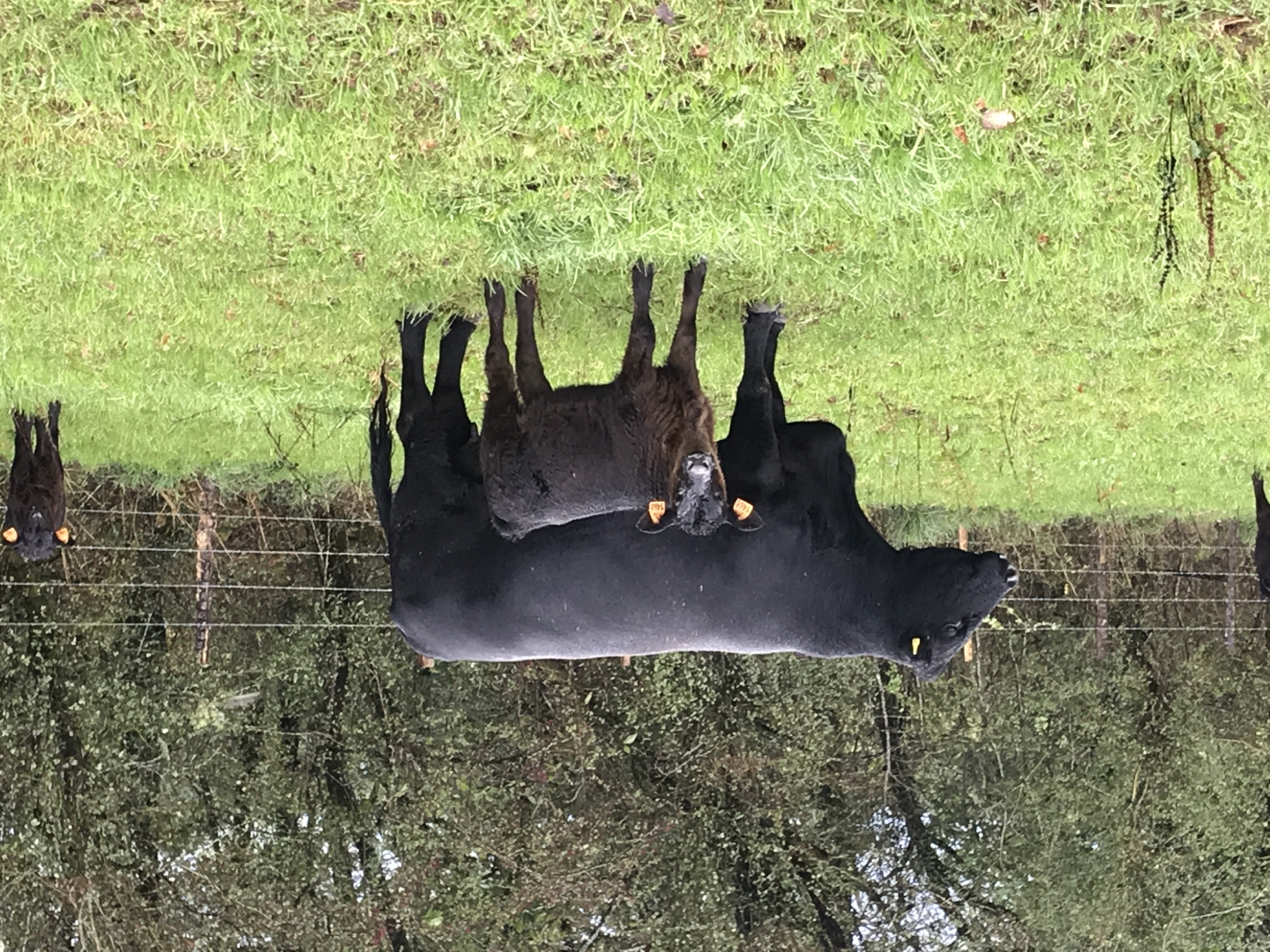 Après la tété